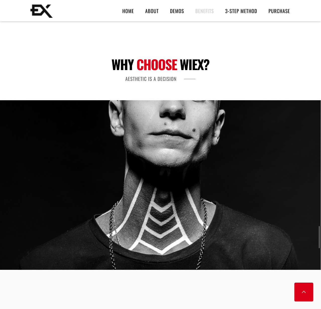 Virex – Cinematic Creative Portfolio Website - image