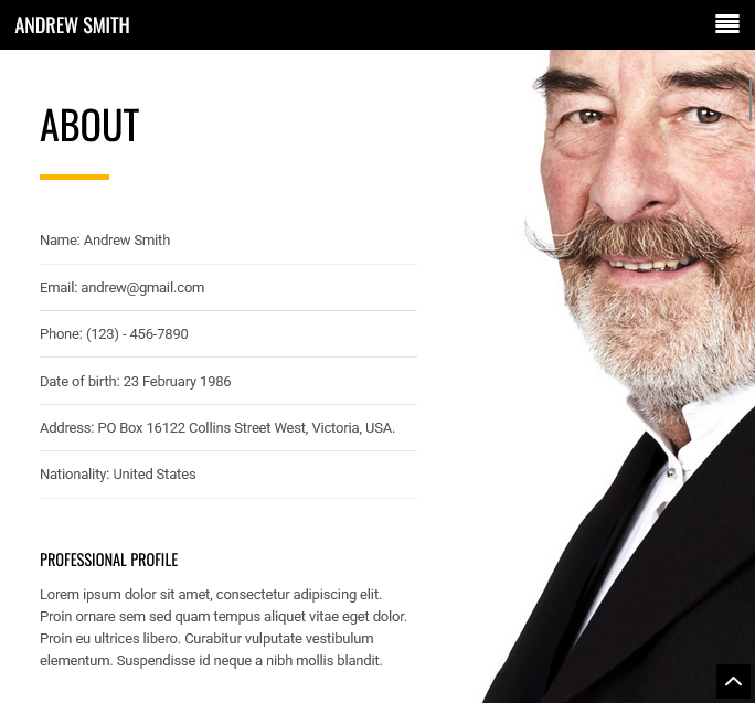 Boldora – Statement Creative Portfolio Website - image