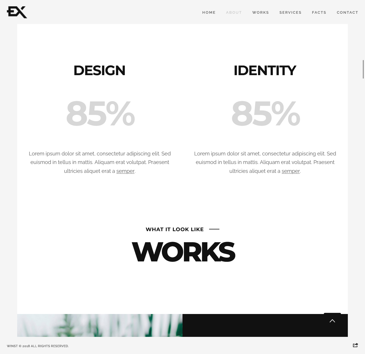 MonoPeak – Single Image Personal Portfolio Website - image