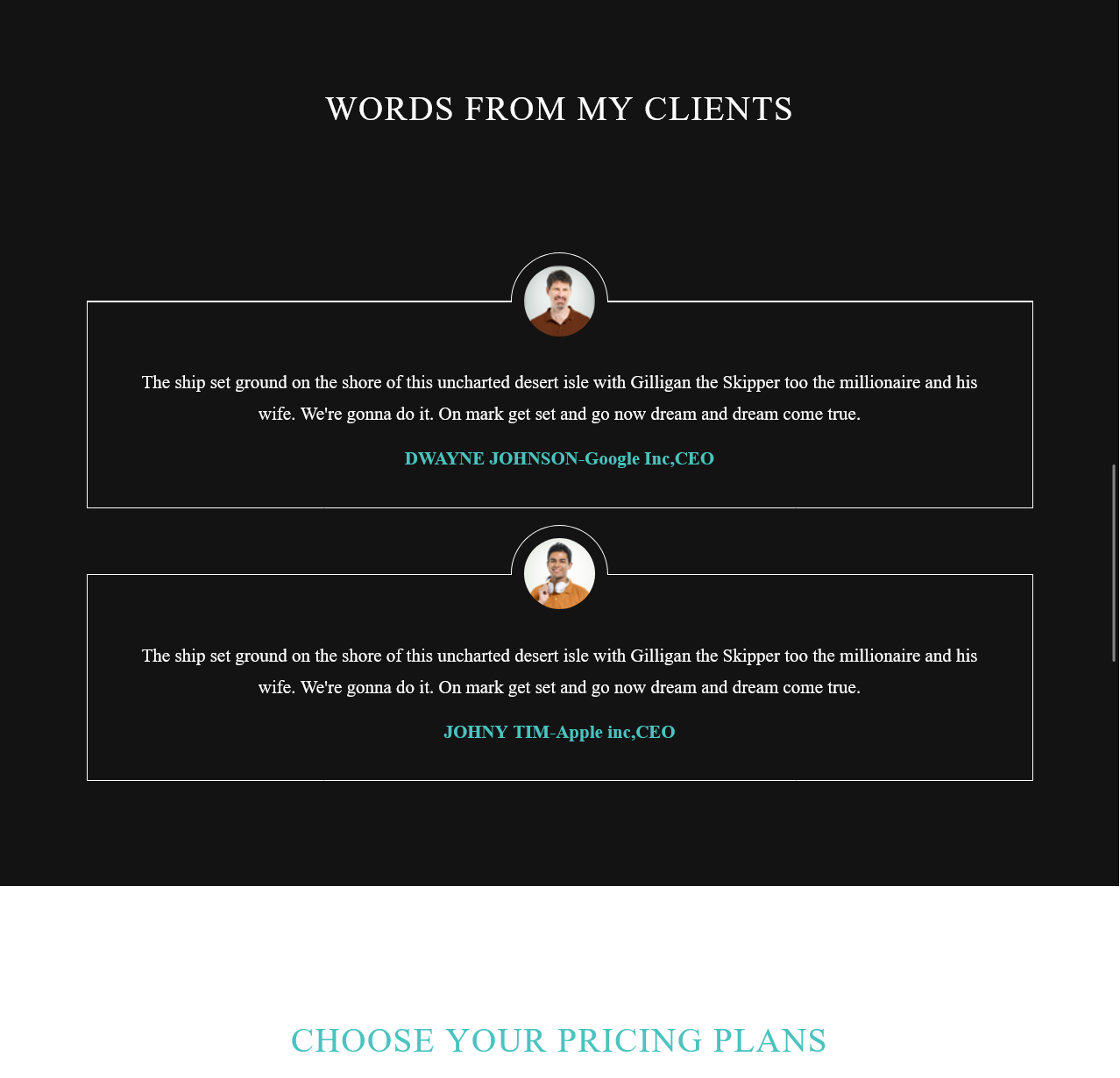 Raptora – Modern Personal Portfolio Website - image